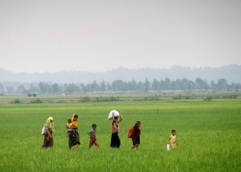 New committee formed for Rakhine crisis