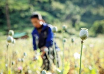 Kachin Armed Group Asks UN to Correct Opium Claims