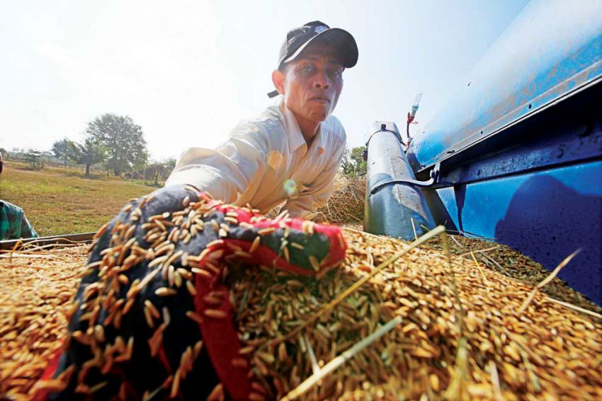 MoU on official rice exports to China to be signed soon